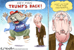 TRUMP BACK FOR MIDTERMS by Ed Wexler