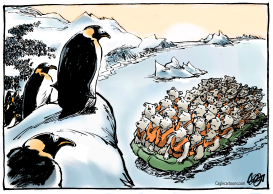 ARCTIC SUMMER ICE WILL DISAPPEAR IN THE FUTURE. by Jos Collignon