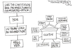 SUB-SUPREME COURT  by Pat Bagley