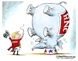 TRUMP MAGA AND RNC by Dave Granlund
