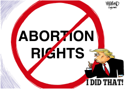 ABORTION RIGHTS by Dave Whamond