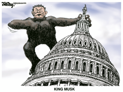 KING MUSK by Bill Day