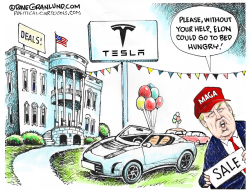 TESLA SALES AT WHITE HOUSE by Dave Granlund