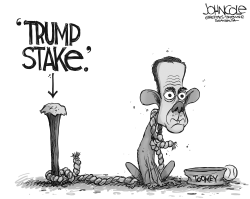 TOOMEY AND TRUMP BW by John Cole