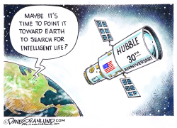HUBBLE TELESCOPE 30TH by Dave Granlund