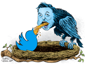 ELON MUSK AND TWITTER BIRDS by Daryl Cagle