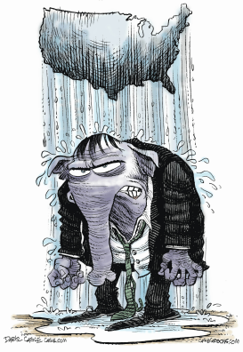 GOP UNHAPPY ABOUT MIDTERM ELECTION by Daryl Cagle