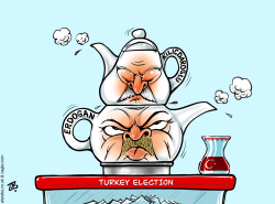 TURKEY ELECTION by Emad Hajjaj