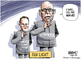 FOX LICHT  by Dave Whamond