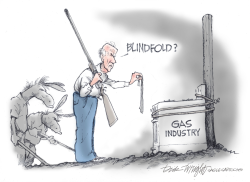BIDEN WAR ON GAS STOVES by Dick Wright