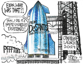 FAILURE TO LAUNCH by John Darkow