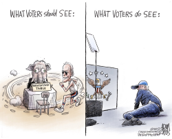 FIT FOR OFFICE by Adam Zyglis