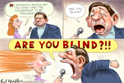 DESANTIS ARE YOU BLIND by Ed Wexler