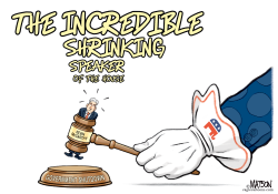 THE INCREDIBLE SHRINKING SPEAKER OF THE HOUSE by R.J. Matson