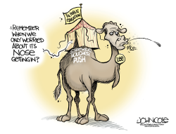 TENNESSEE SCHOOL-VOUCHER CAMEL by John Cole