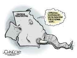 GEORGIA GOP REDISTRICTING by John Cole