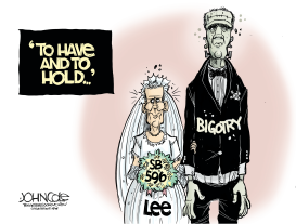 TENNESSEE LEE AND GAY MARRIAGES by John Cole