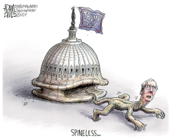 MCCONNELL TO STEP DOWN by Adam Zyglis