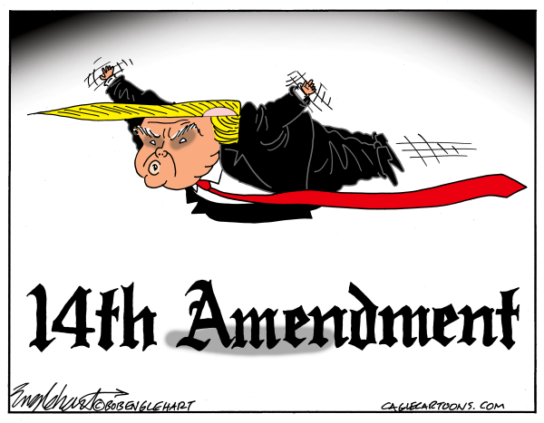 trump-above-14th-amendment.png