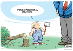 DONALD TRUMP AND THE CHERRY TREE by R.J. Matson
