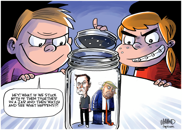 trump-and-musk-battle-of-the-egos.png