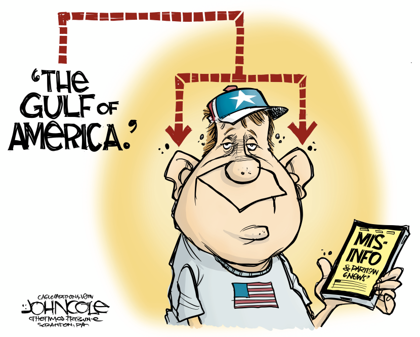 Lib media blows it yet again