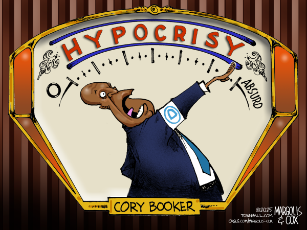 dems-called-musk-a-nazi-not-cory-booker.
