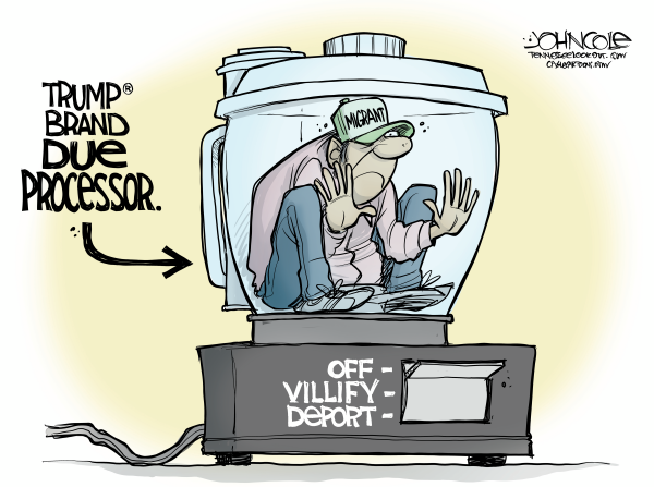 the-immigrant-due-processor.png