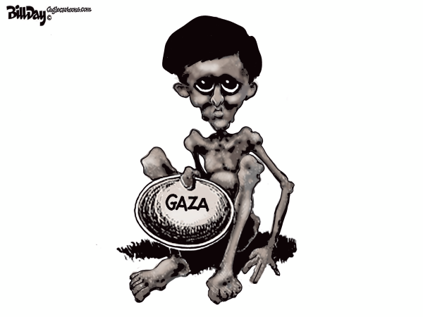 gaza-starvation.png